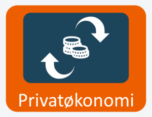 Privatøkonomi